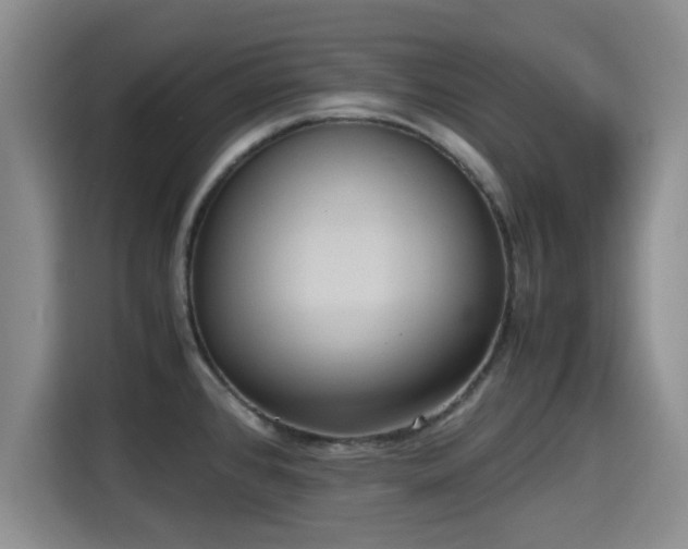 X0000115391384200911101443