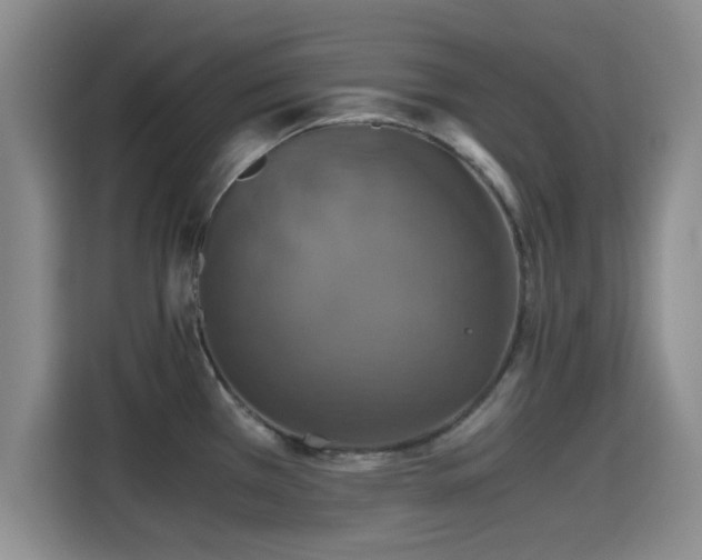 X0000115391385200911101443
