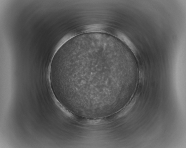 X0000115391386200911101443