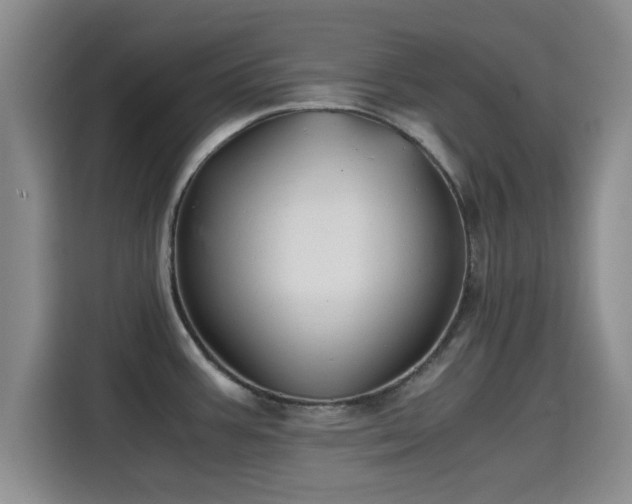 X0000115391387200911101443