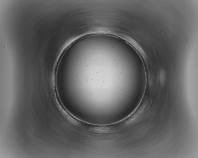 X0000115391388200911101443