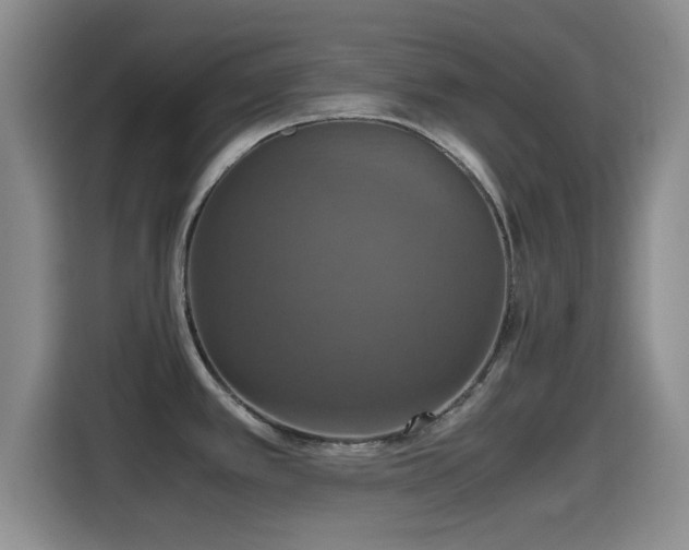 X0000115391389200911101443