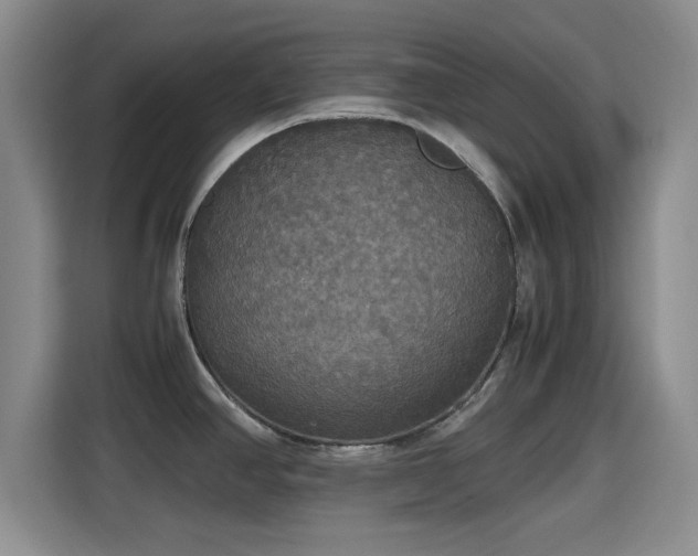 X0000115391390200911101443