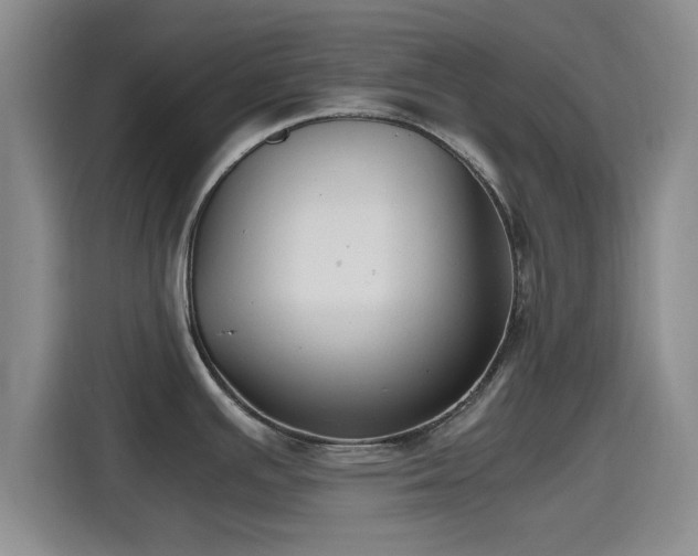 X0000115391391200911101443
