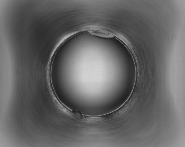 X0000115391392200911101443