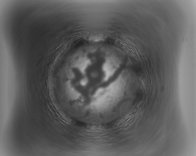 X0000115391393200911101443