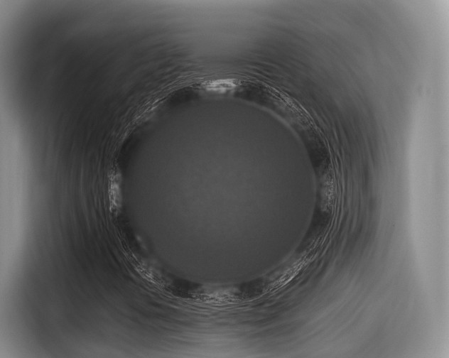 X0000115391394200911101443