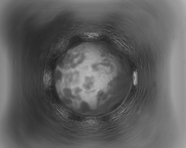 X0000115391395200911101443