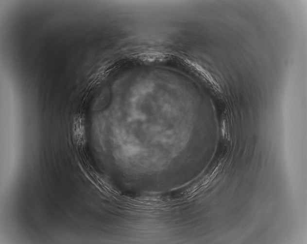 X0000115391396200911101443