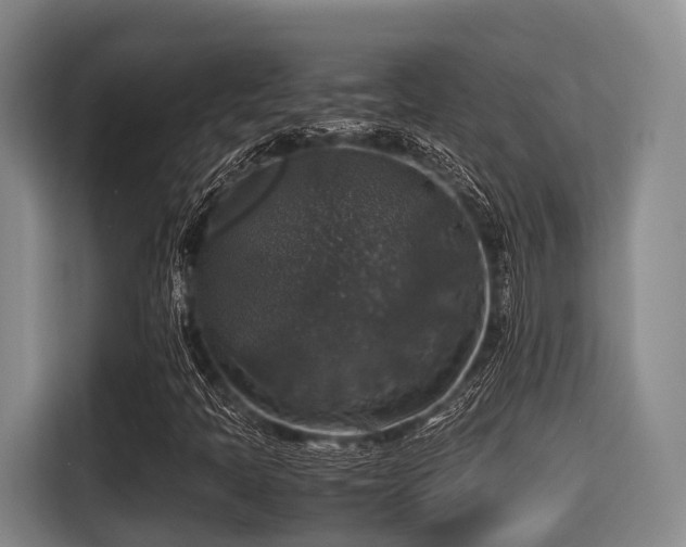X0000115391397200911101443