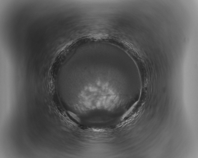 X0000115391398200911101443