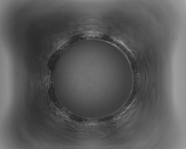 X0000115391399200911101443