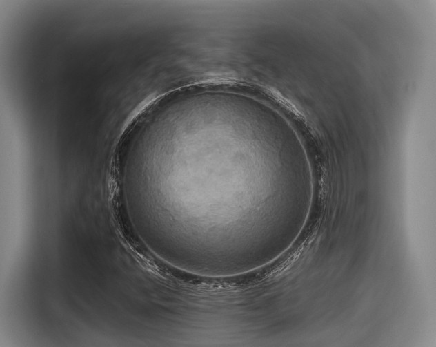 X0000115391400200911101443