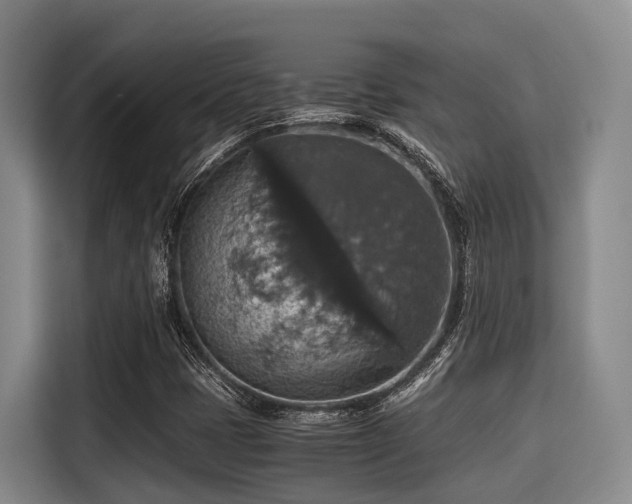 X0000115391401200911101443