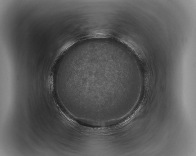 X0000115391402200911101443