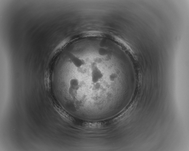 X0000115391403200911101443