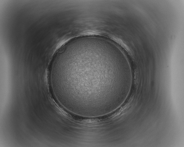 X0000115391404200911101443