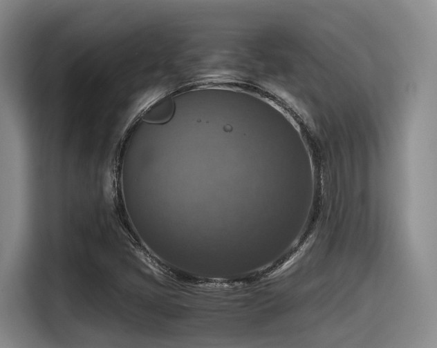 X0000115391405200911101443