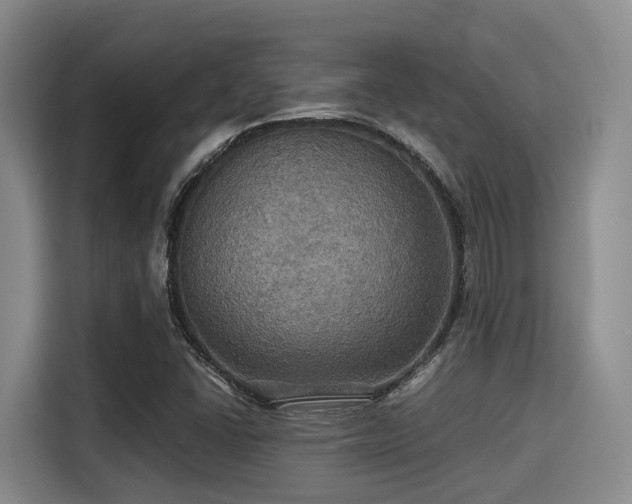 X0000115391406200911101443