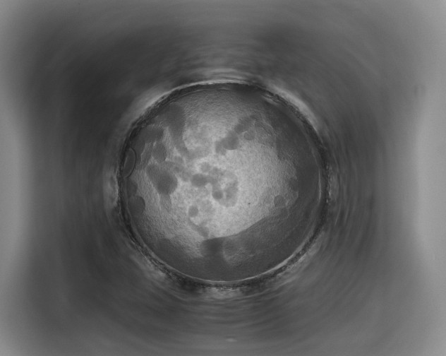 X0000115391407200911101443