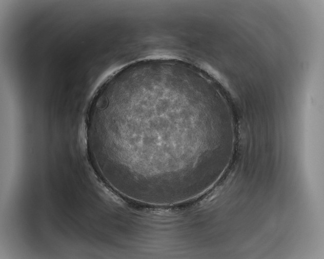 X0000115391408200911101443