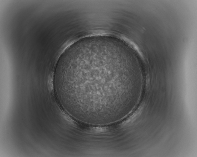 X0000115391409200911101443