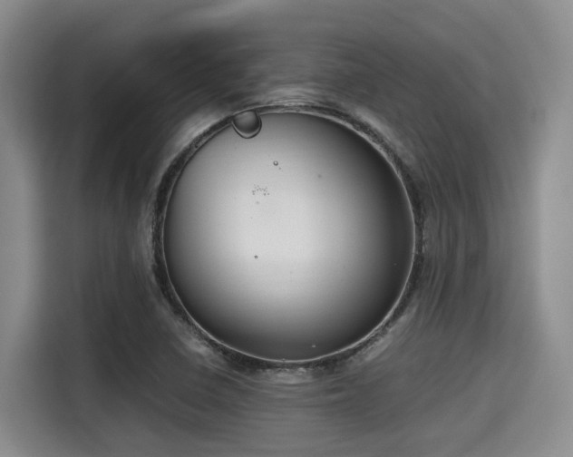 X0000115391410200911101443