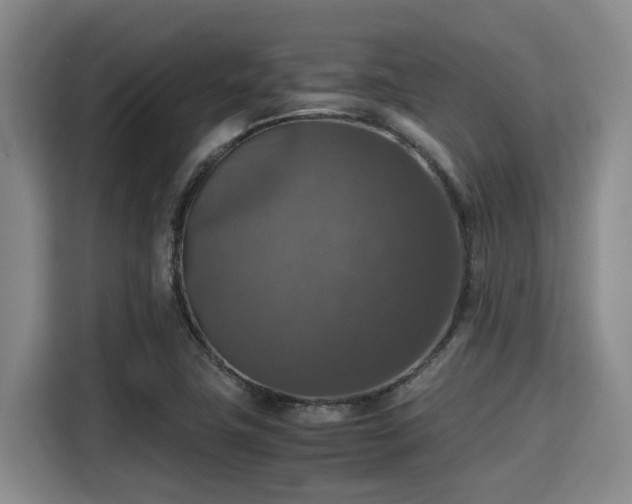 X0000115391411200911101443