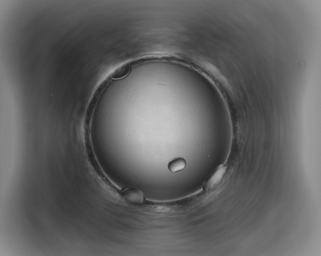 X0000115391412200911101443