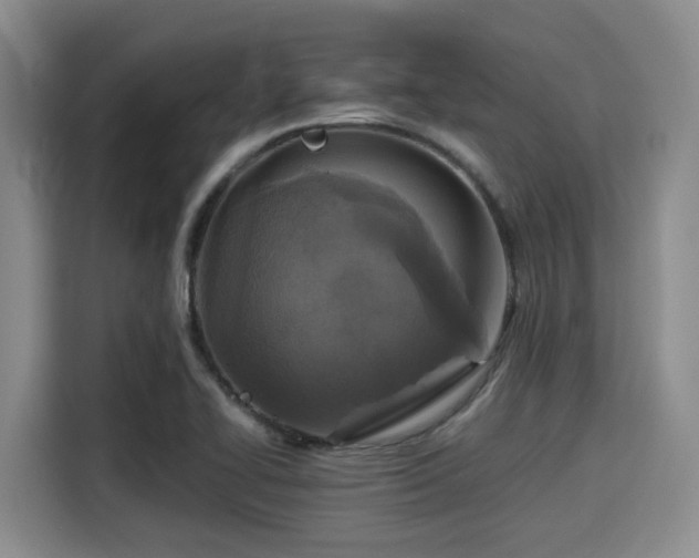 X0000115391414200911101443