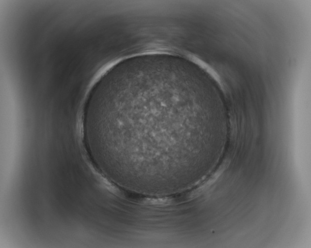 X0000115391415200911101443