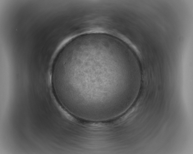 X0000115391416200911101443