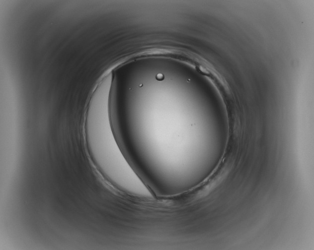 X0000115391417200911101443
