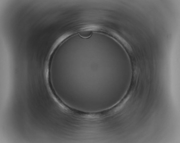 X0000115391418200911101443