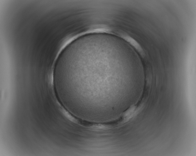 X0000115391420200911101443