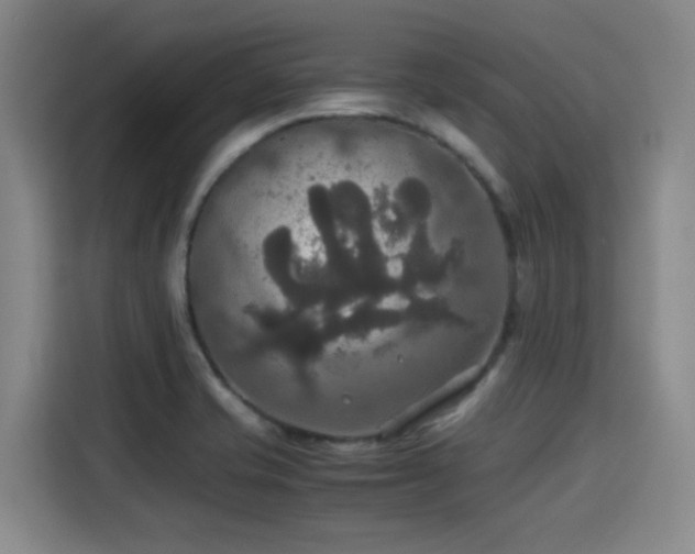 X0000115391421200911101443