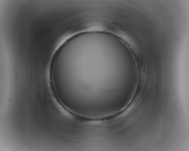 X0000115391422200911101443