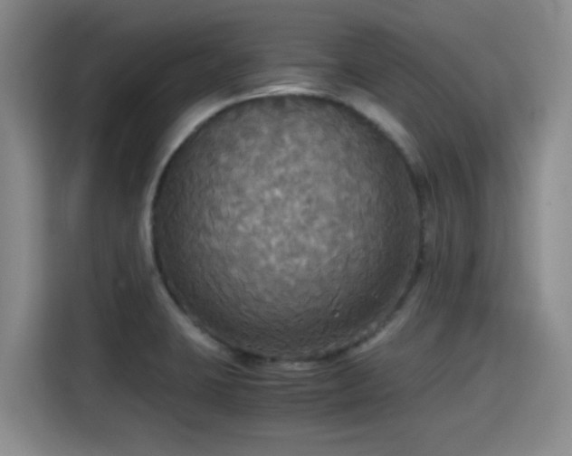 X0000115391423200911101443
