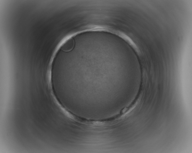 X0000115391424200911101443