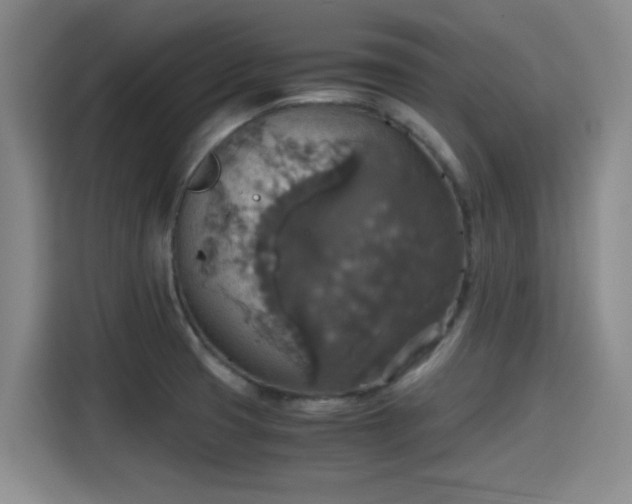 X0000115391425200911101443