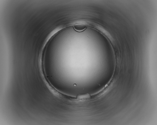 X0000115391426200911101443