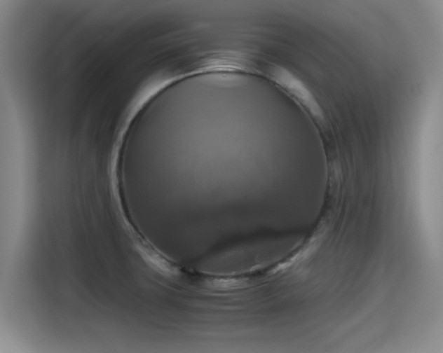 X0000115391427200911101443