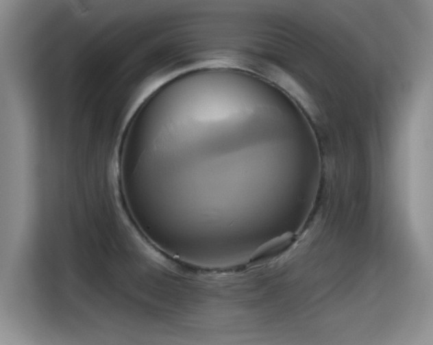 X0000115391428200911101443