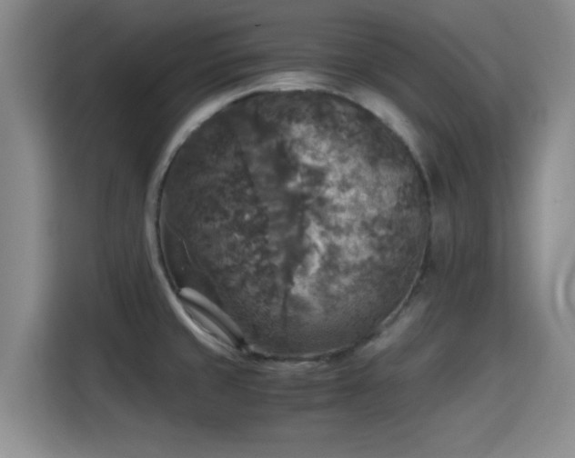 X0000115391429200911101443