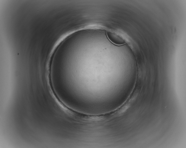 X0000115391430200911101443