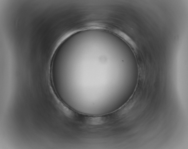 X0000115391431200911101443