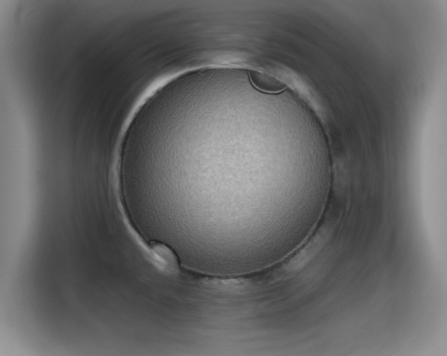 X0000115391432200911101443