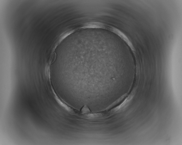 X0000115391433200911101443