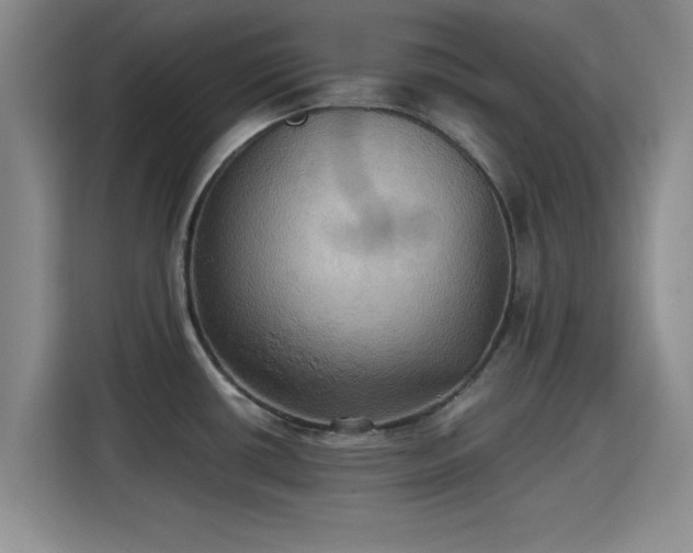 X0000115391434200911101443