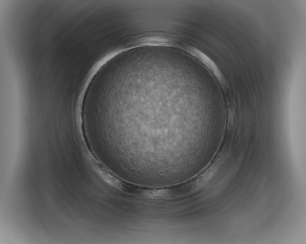 X0000115391435200911101443